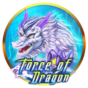 Customer Focus at 8k8app Login